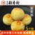 正宗三禾北京稻香村特产网红蛋黄酥豆沙咸鸭蛋黄传统传统糕点心第5张高清大图