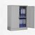 巢湖新雅 单节文件柜储物柜对开矮柜 XY-1100(加厚)第2张高清大图
