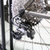 MARMOT土拨鼠变速自行车男女式单车山地自行车22速钛合金山地车(红男女式 标准版)第4张高清大图