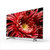 索尼(SONY)KD-75X8500G 75英寸 4K超高清 HDR与特丽魅彩技术 画面清晰 安卓8.0电视(黑色 标配)第4张高清大图