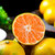 宜昌蜜桔 青皮早熟蜜橘当季桔子新鲜水果(净重5斤)第2张高清大图